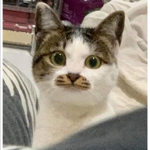 Meet your Posher, Su kyung